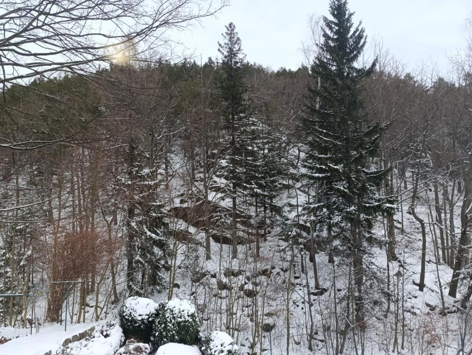 Karkoz Karpacz Bed & Breakfast Eksteriør bilde